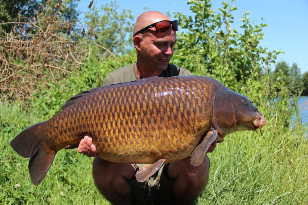 vangst_golden_common