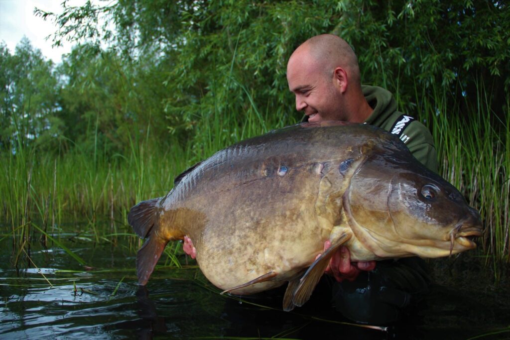 vangst_mirror_riet