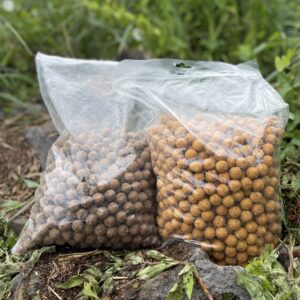 Boilies