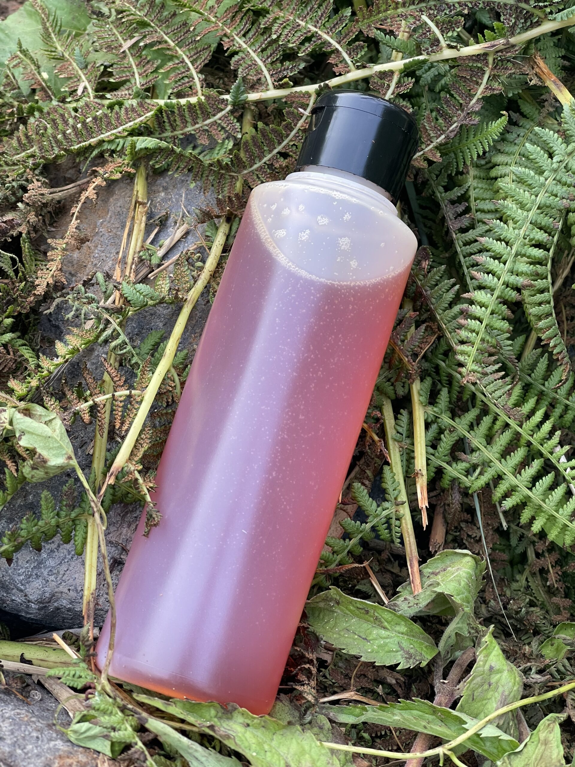 Impact Oil